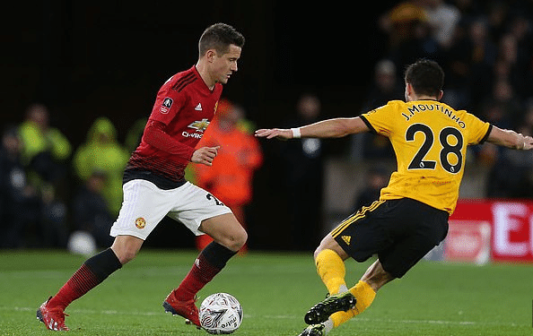 变性和对场 变性和对场